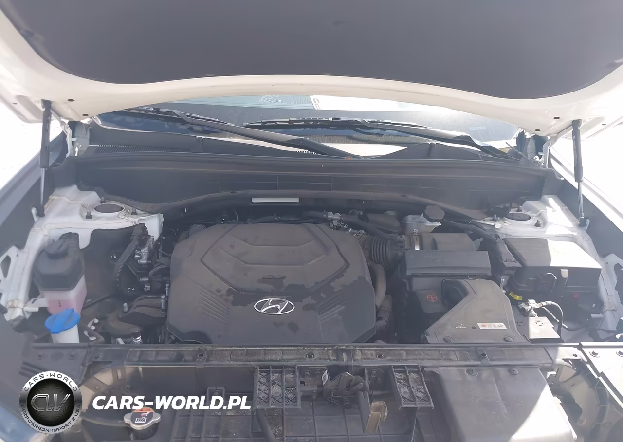 2021 Hyundai Palisade Limited VIN:KM8R54HE0MU276382 - 10