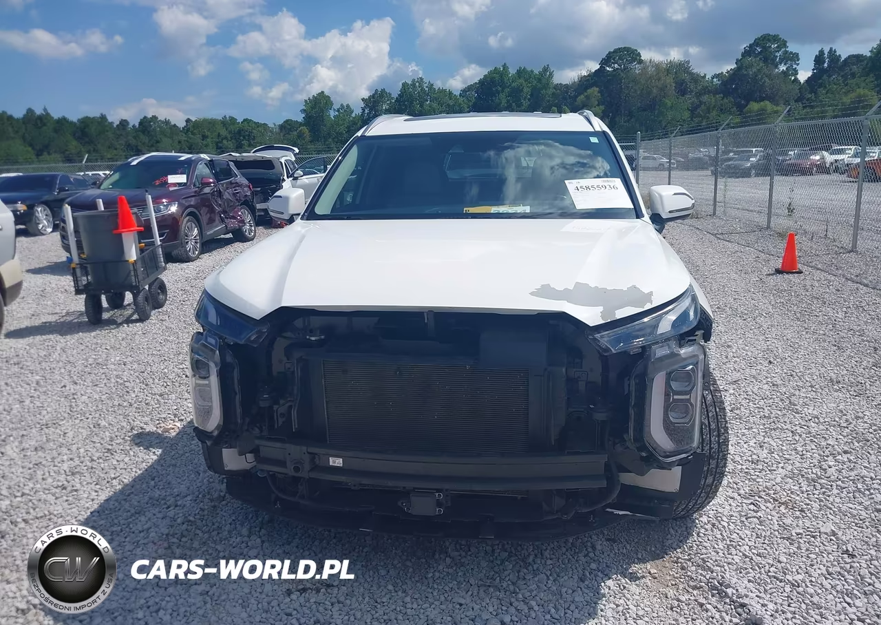 2021 Hyundai Palisade Limited VIN:KM8R54HE0MU276382 - 12