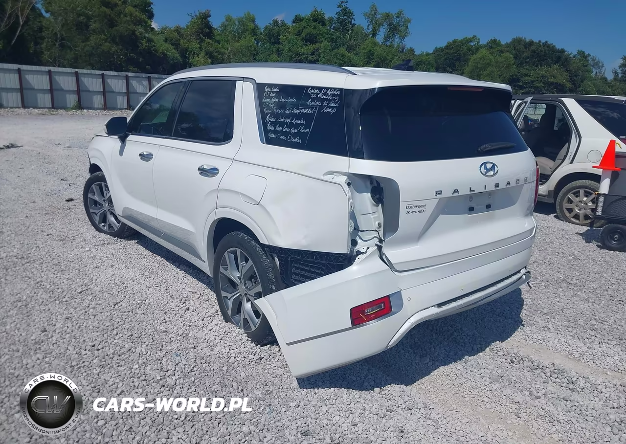 2021 Hyundai Palisade Limited VIN:KM8R54HE0MU276382 - 3