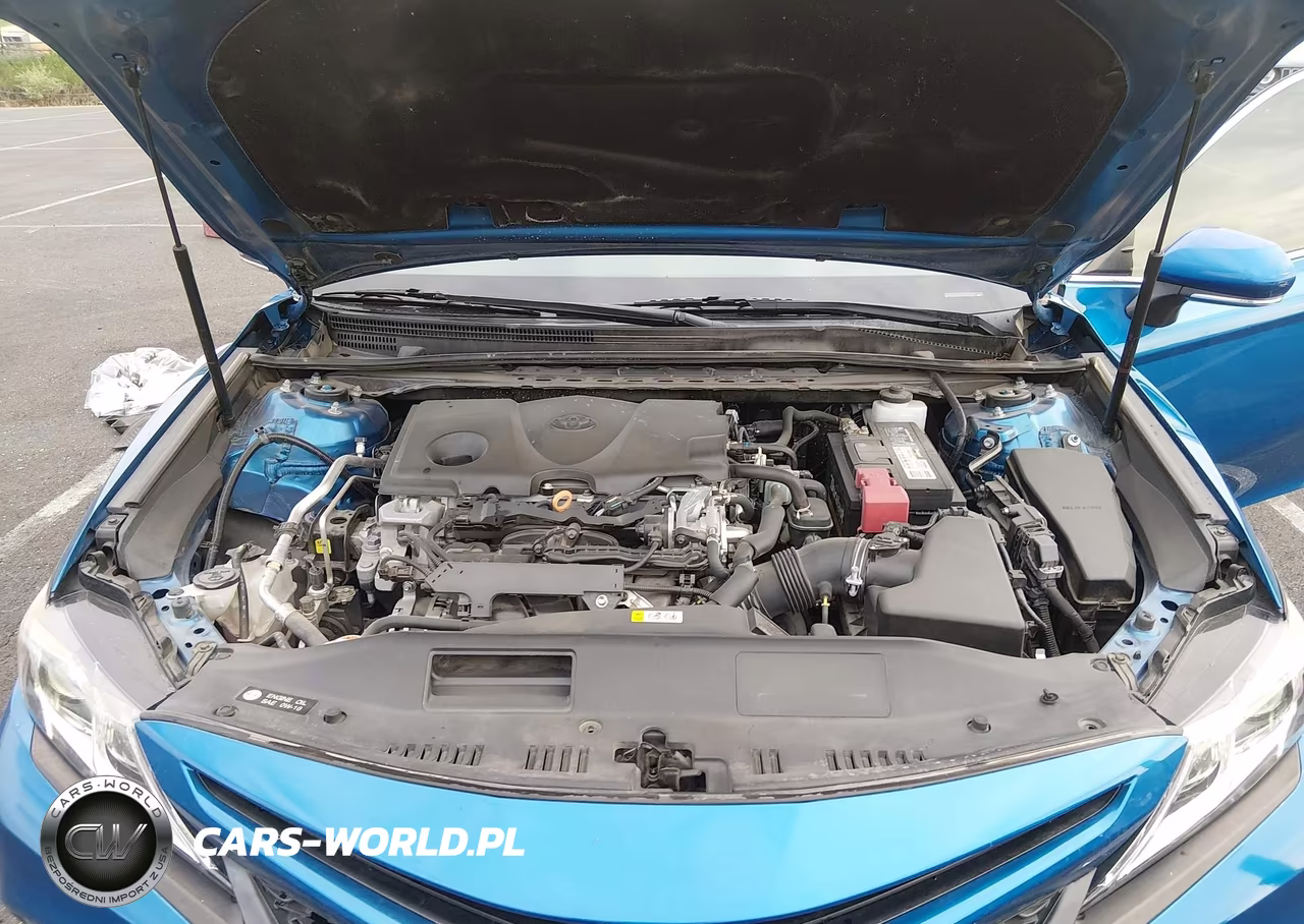 2019 Toyota Camry Se VIN:4T1B11HK8KU189764 - 10