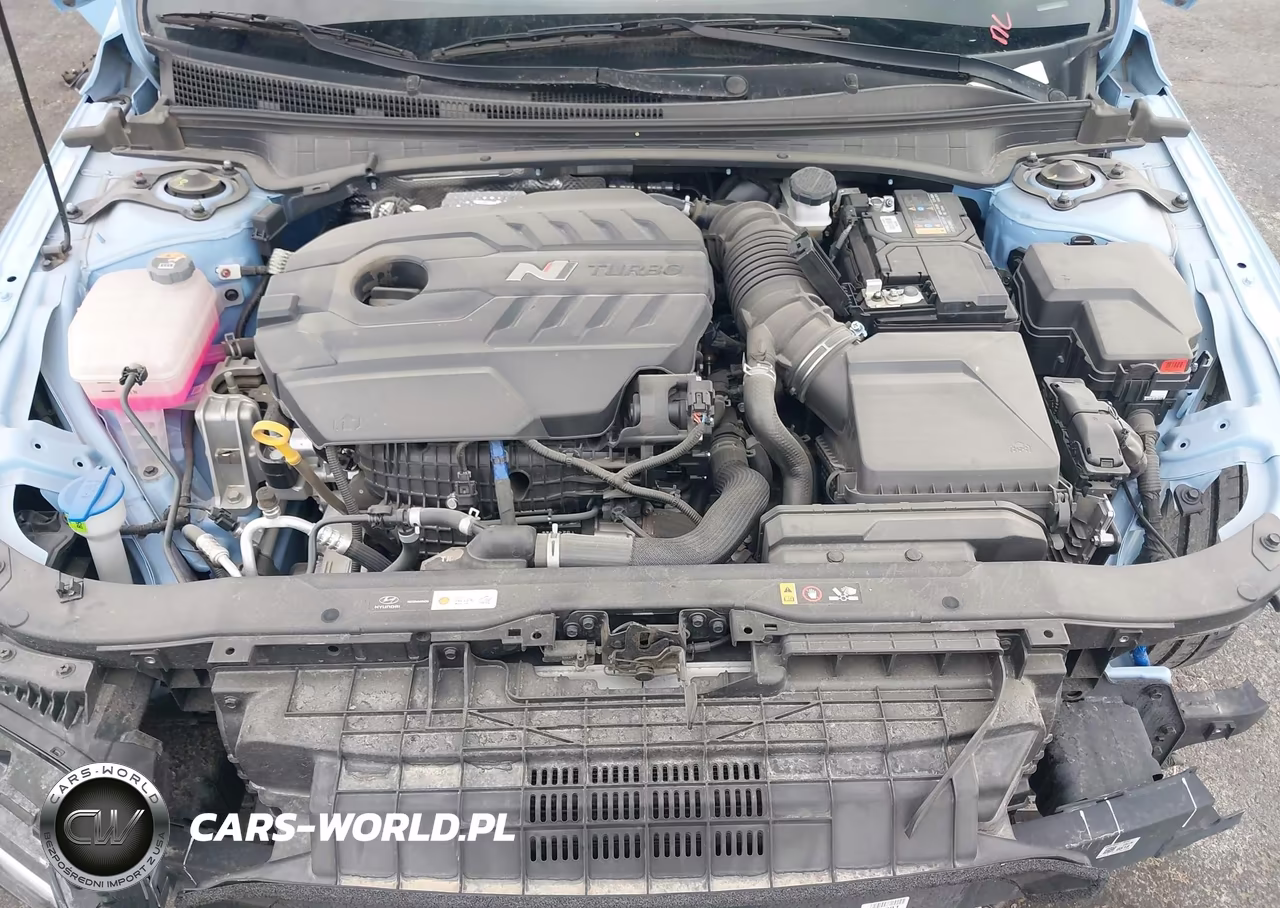 2025 Hyundai Elantra N VIN:KMHLW4DKXSU025770 - 10