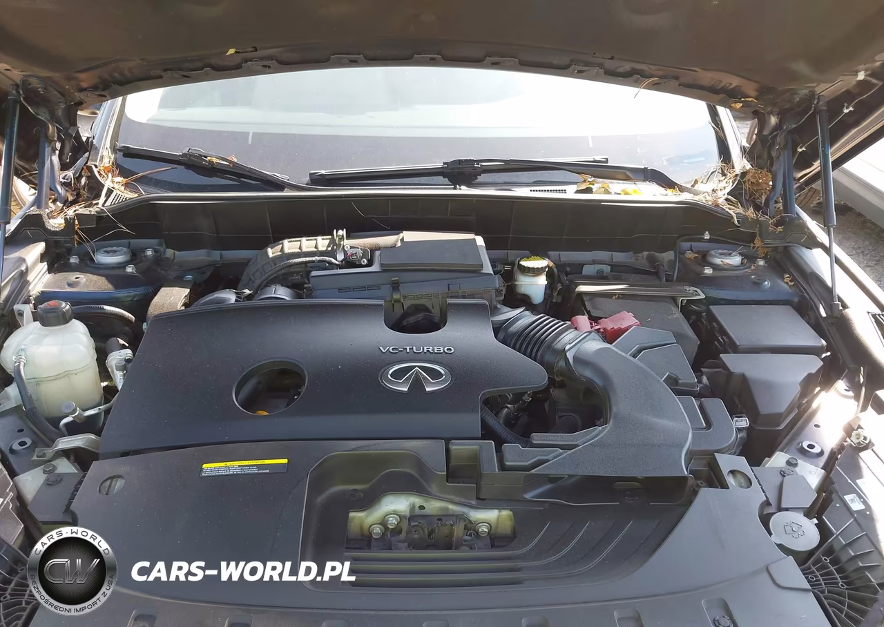 2019 Infiniti Qx50 Luxe VIN:3PCAJ5M14KF129770 - 10