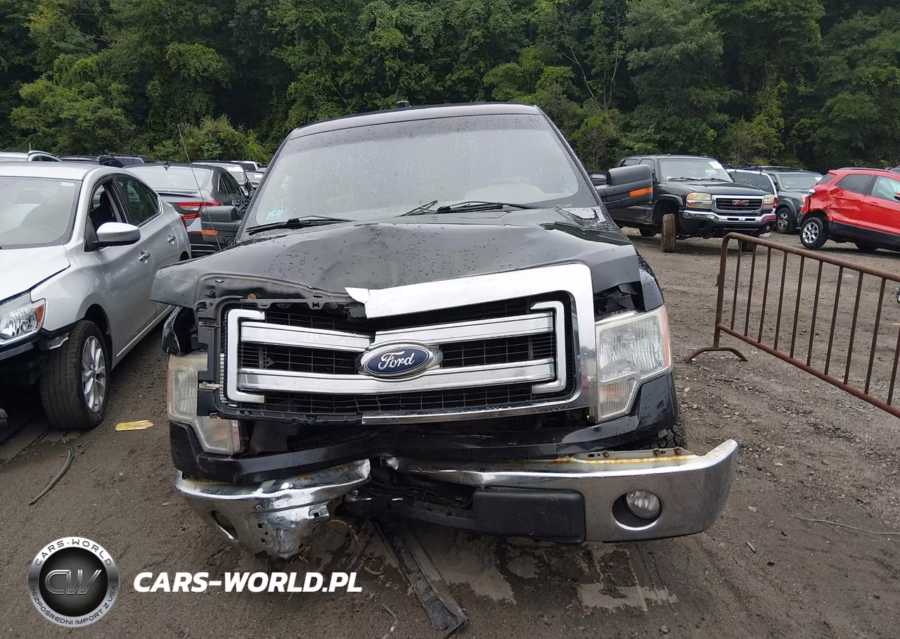 2014 Ford F-150 Xlt VIN:1FTFX1EF6EFA71264 - 12