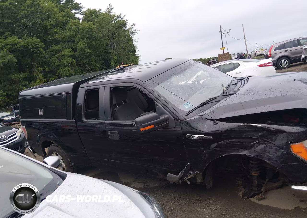2014 Ford F-150 Xlt VIN:1FTFX1EF6EFA71264 - 13