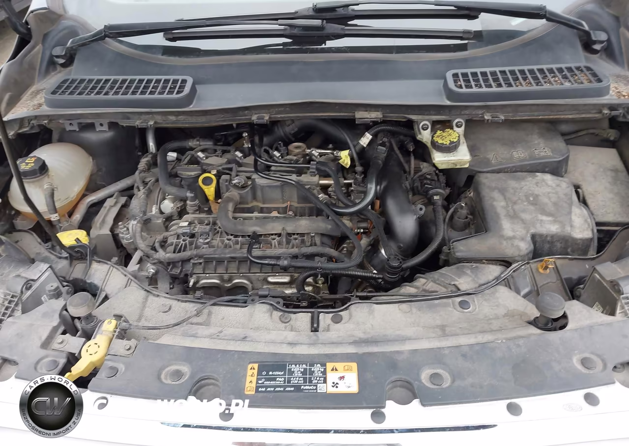 2019 Ford Escape Sel VIN:1FMCU9HDXKUA81349 - 10