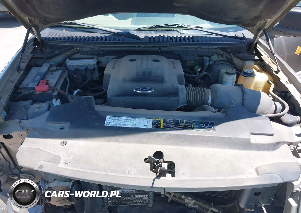 2003 Ford Expedition Xlt VIN:1FMEU15WX3LC23724 - 10