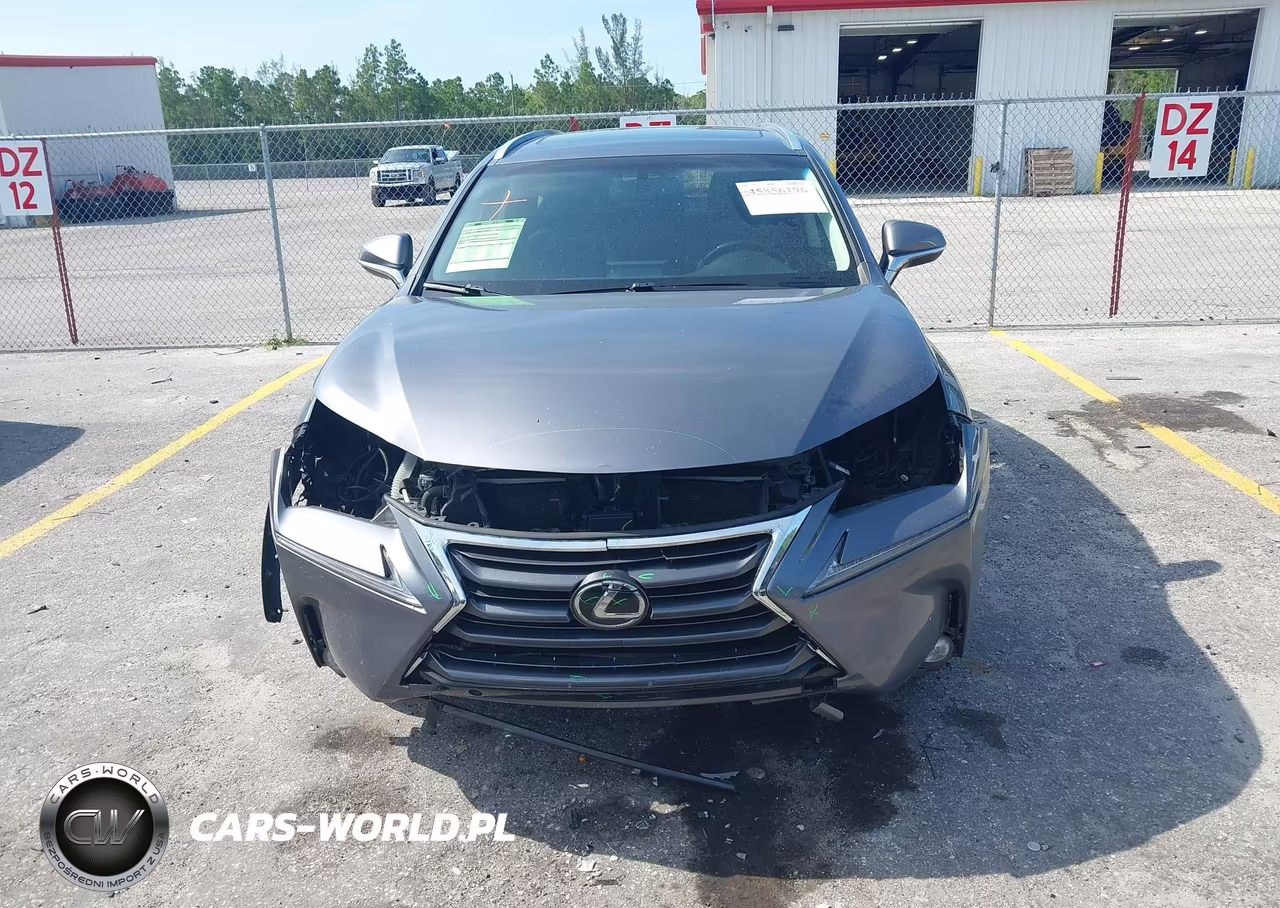 2017 Lexus Nx 200T VIN:JTJYARBZ5H2066198 - 13
