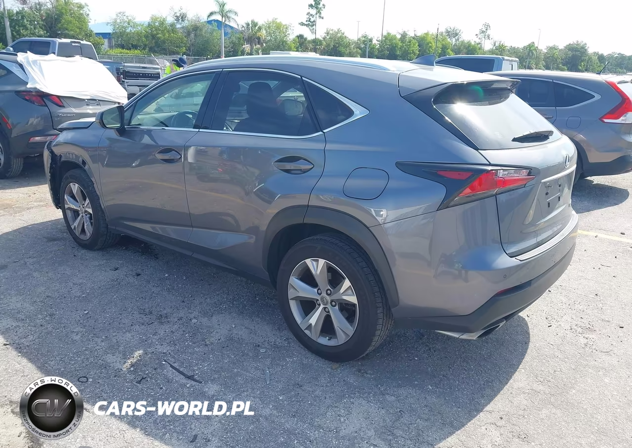 2017 Lexus Nx 200T VIN:JTJYARBZ5H2066198 - 3