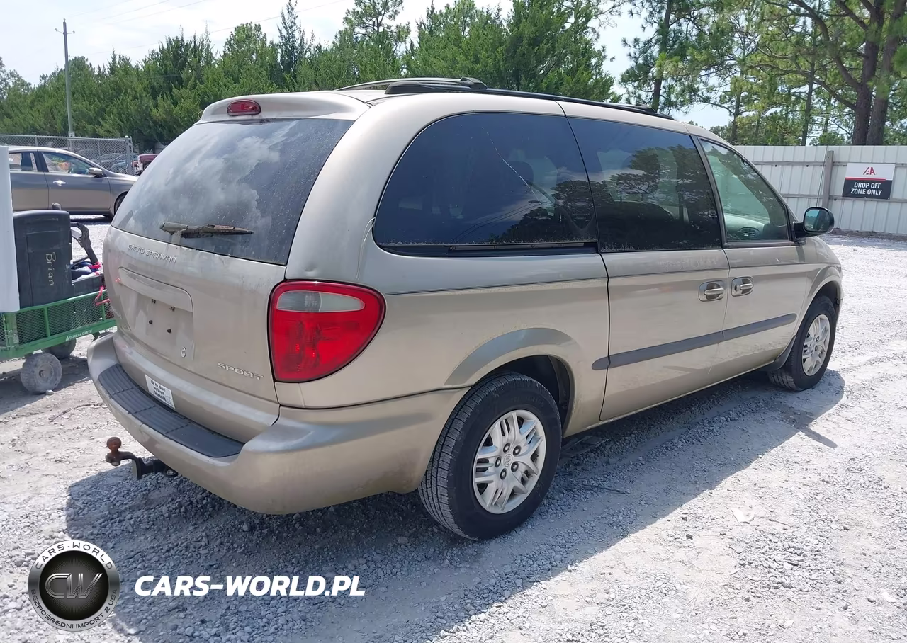 2002 Dodge Grand Caravan Sport VIN:2B4GP44302R552920 - 4