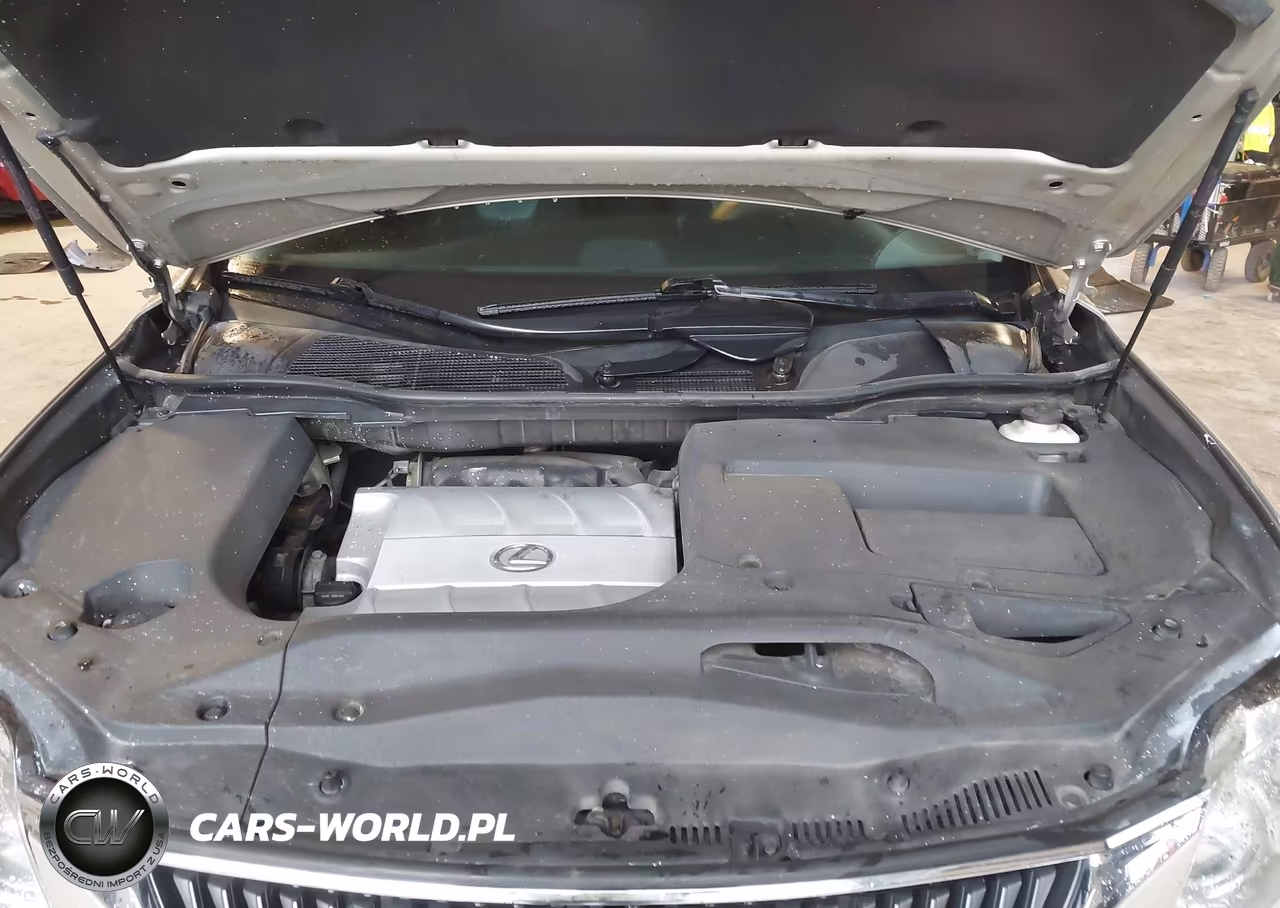 2011 Lexus Rx 350 VIN:2T2BK1BA2BC087399 - 10