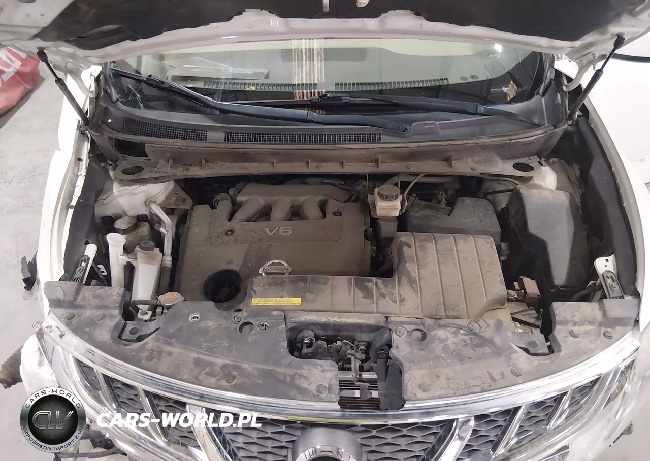 2013 Nissan Murano S VIN:JN8AZ1MW7DW320891 - 10