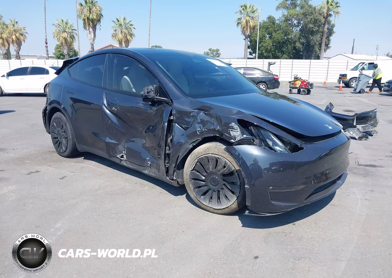 2024 Tesla Model Y Long Range Dual Motor All-Wheel Drive VIN:7SAYGDEE3RF199816 - 1