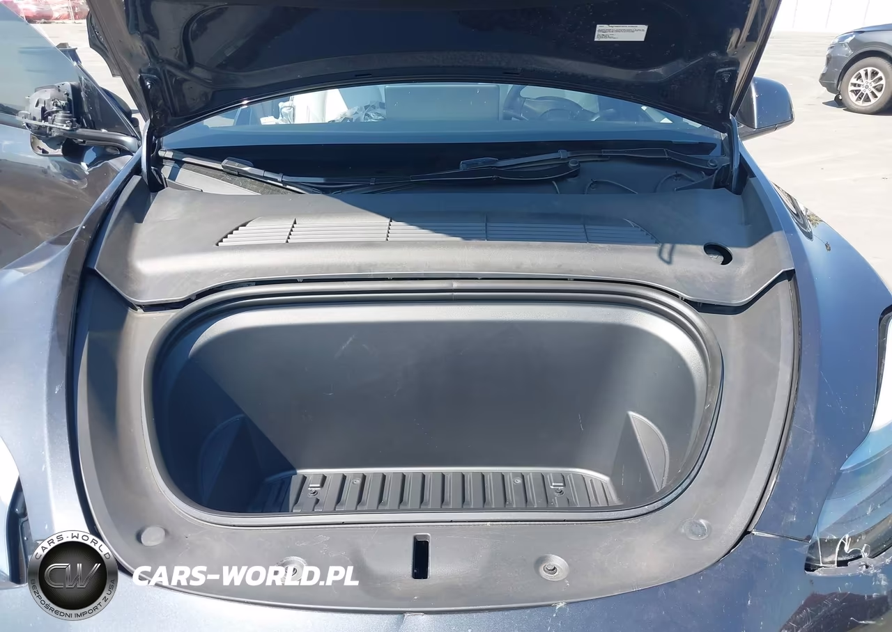 2024 Tesla Model Y Long Range Dual Motor All-Wheel Drive VIN:7SAYGDEE3RF199816 - 10