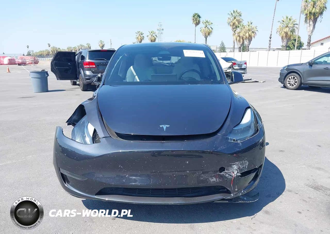 2024 Tesla Model Y Long Range Dual Motor All-Wheel Drive VIN:7SAYGDEE3RF199816 - 12