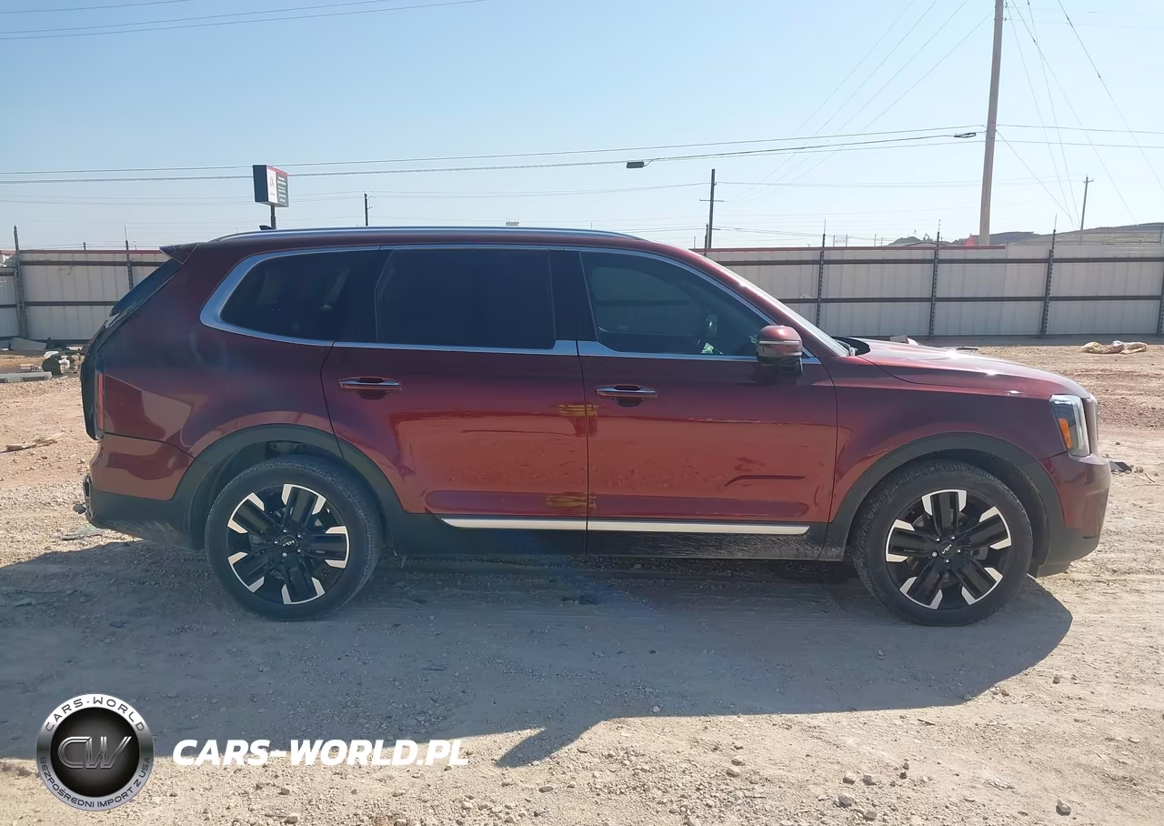 2023 Kia Telluride Sx VIN:5XYP54GC1PG335313 - 13