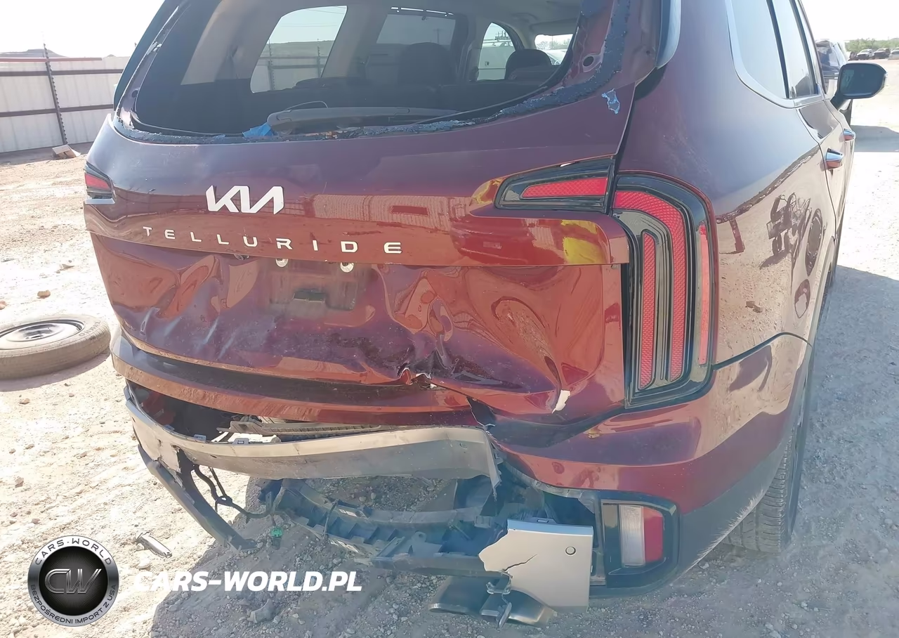2023 Kia Telluride Sx VIN:5XYP54GC1PG335313 - 17
