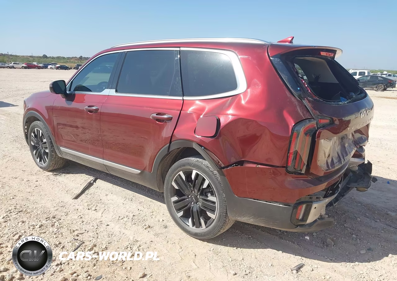 2023 Kia Telluride Sx VIN:5XYP54GC1PG335313 - 3