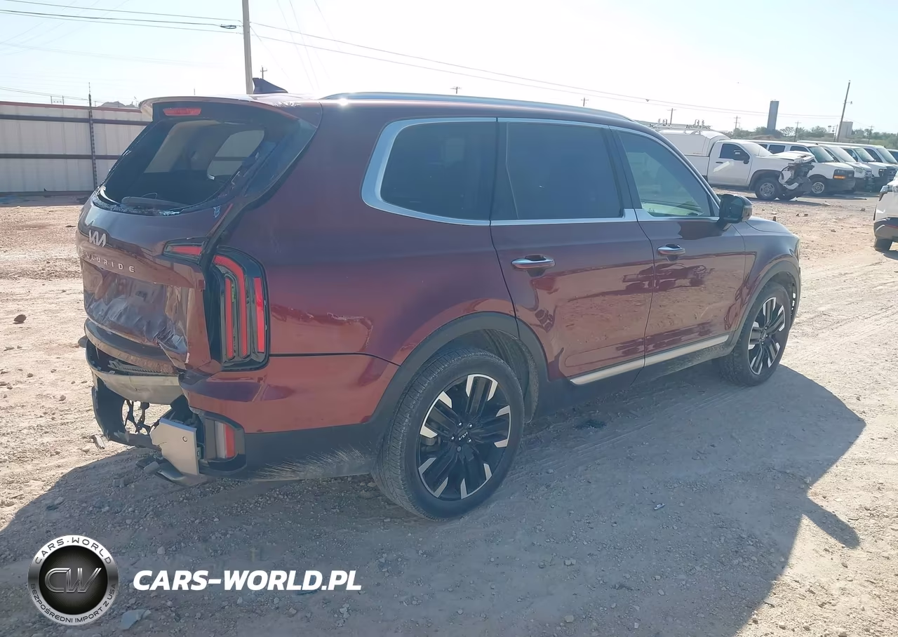 2023 Kia Telluride Sx VIN:5XYP54GC1PG335313 - 4