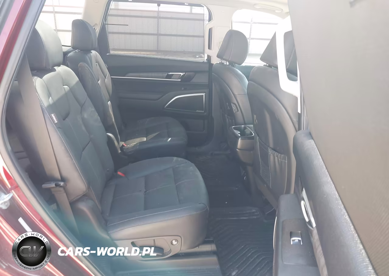 2023 Kia Telluride Sx VIN:5XYP54GC1PG335313 - 8