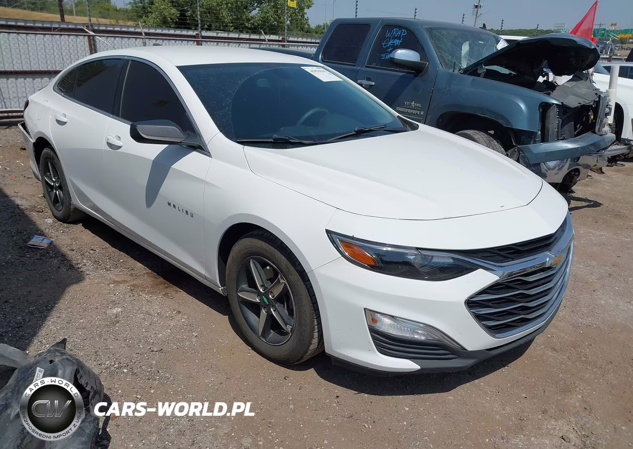 2019 Chevrolet Malibu 1Ls