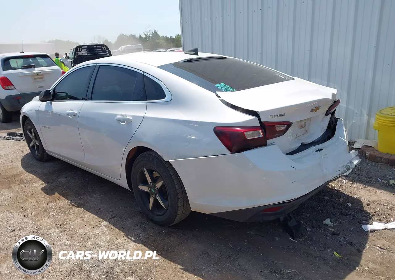 2019 Chevrolet Malibu 1Ls VIN:1G1ZB5ST2KF132112 - 3