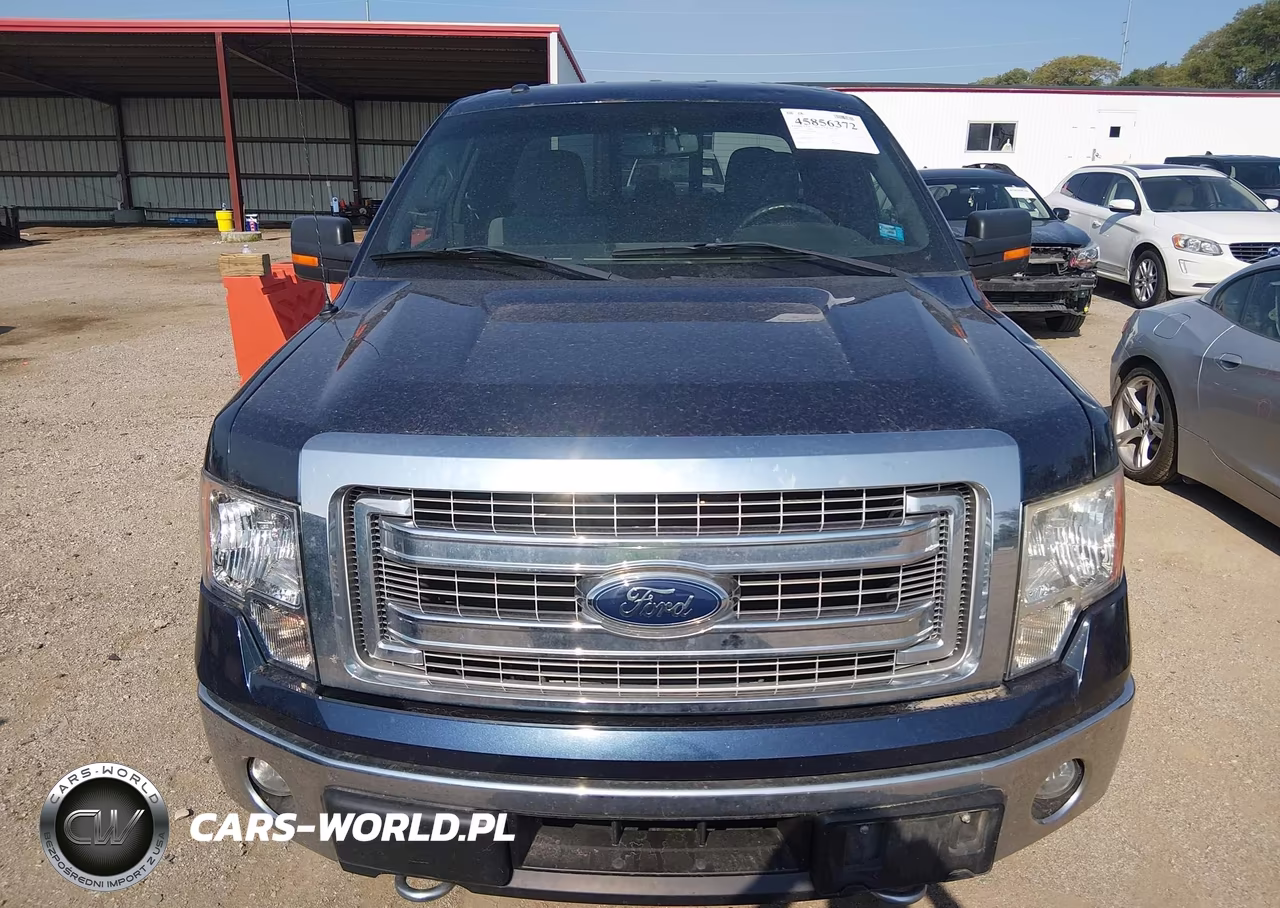 2014 Ford F-150 Xlt VIN:1FTFX1ET8EFB29896 - 12