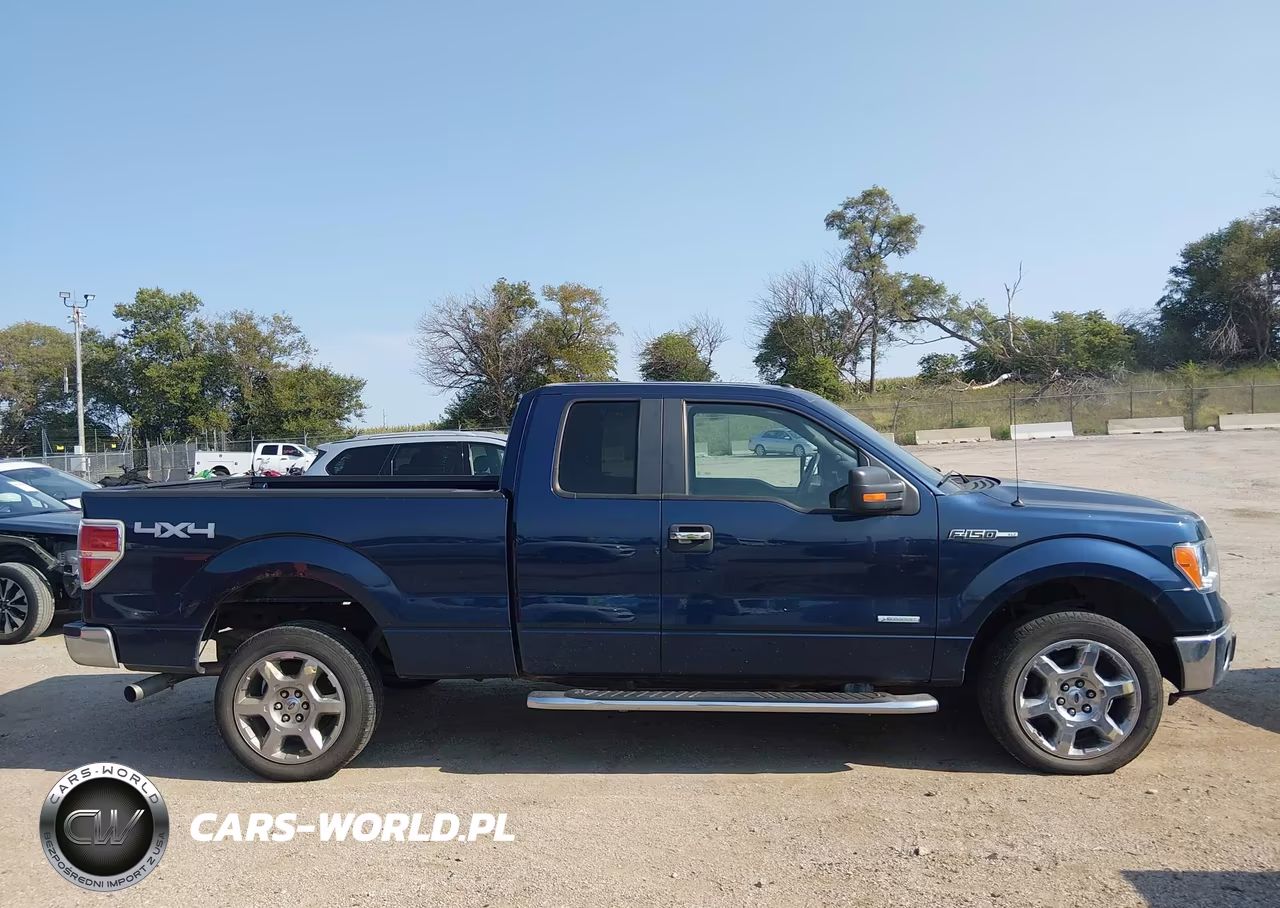 2014 Ford F-150 Xlt VIN:1FTFX1ET8EFB29896 - 13