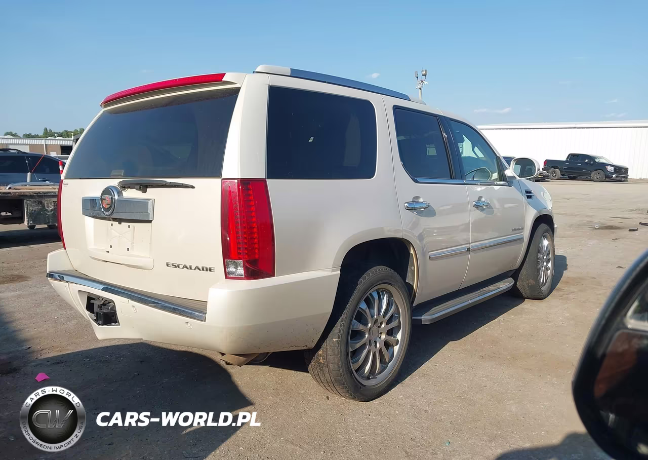 2013 Cadillac Escalade Luxury VIN:1GYS4BEF0DR144908 - 4