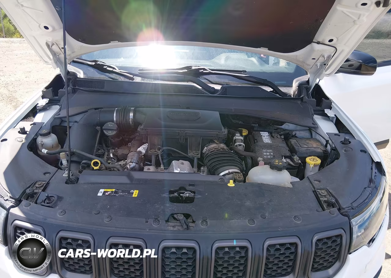 2023 Jeep Compass Trailhawk 4X4 VIN:3C4NJDDN9PT556515 - 10