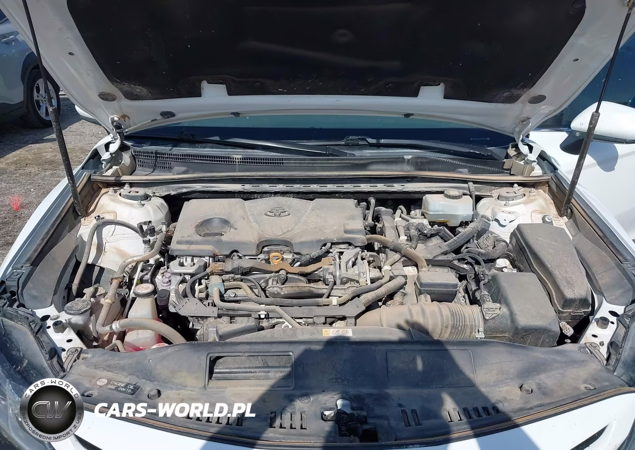 2020 Toyota Camry Se Hybrid VIN:4T1G31AK0LU543062 - 10