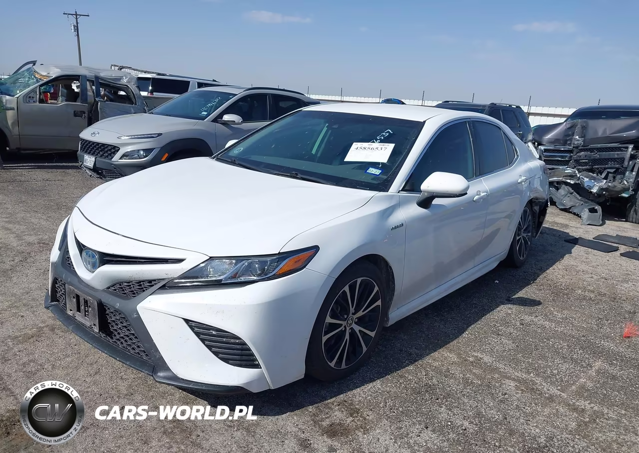 2020 Toyota Camry Se Hybrid VIN:4T1G31AK0LU543062 - 2