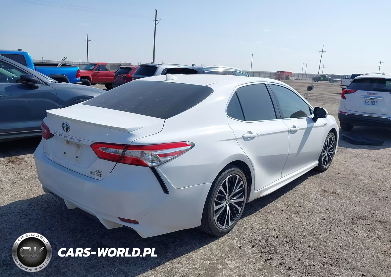 2020 Toyota Camry Se Hybrid VIN:4T1G31AK0LU543062 - 4