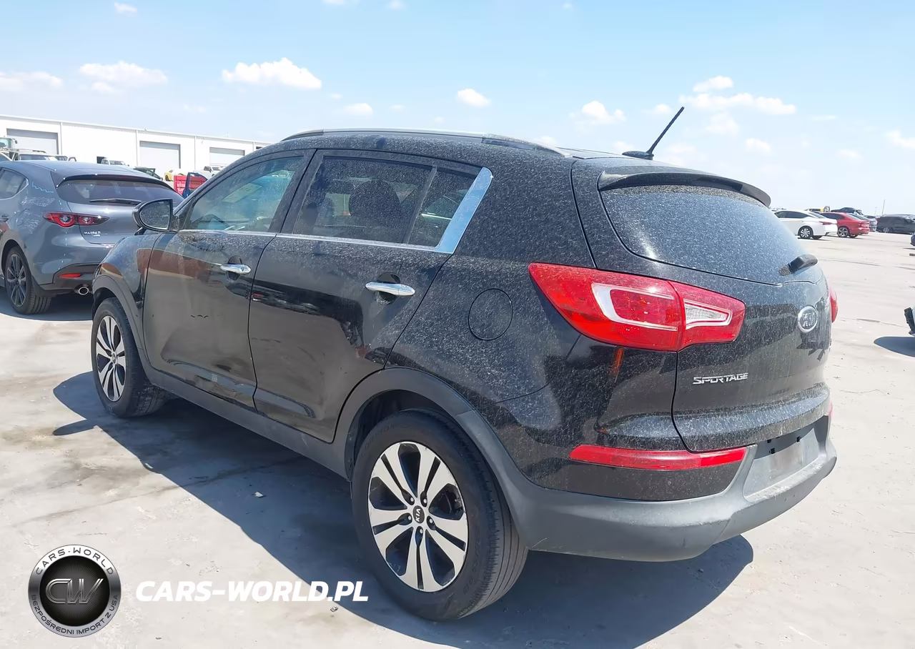 2011 Kia Sportage Ex VIN:KNDPC3A26B7013854 - 3