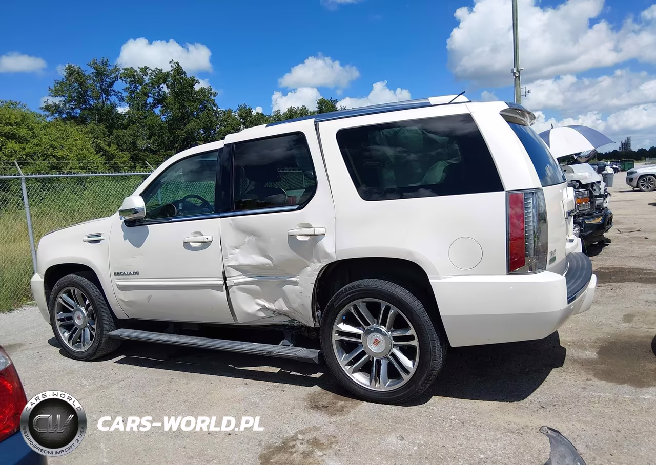 2012 Cadillac Escalade Premium VIN:1GYS3CEF3CR299153 - 14