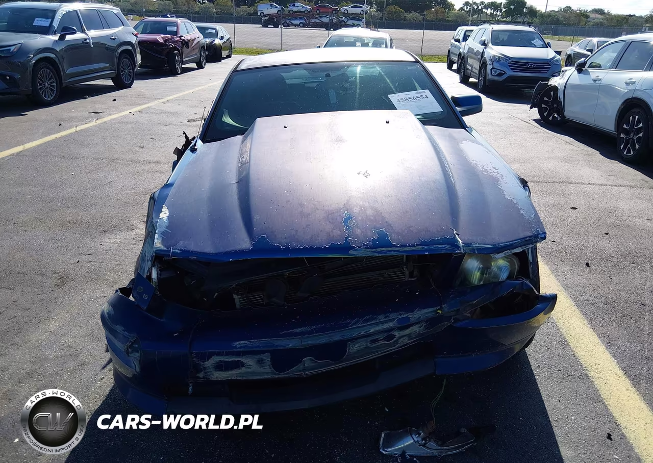 2008 Ford Mustang Gt Deluxe-Gt Premium VIN:1ZVHT82H885194221 - 12