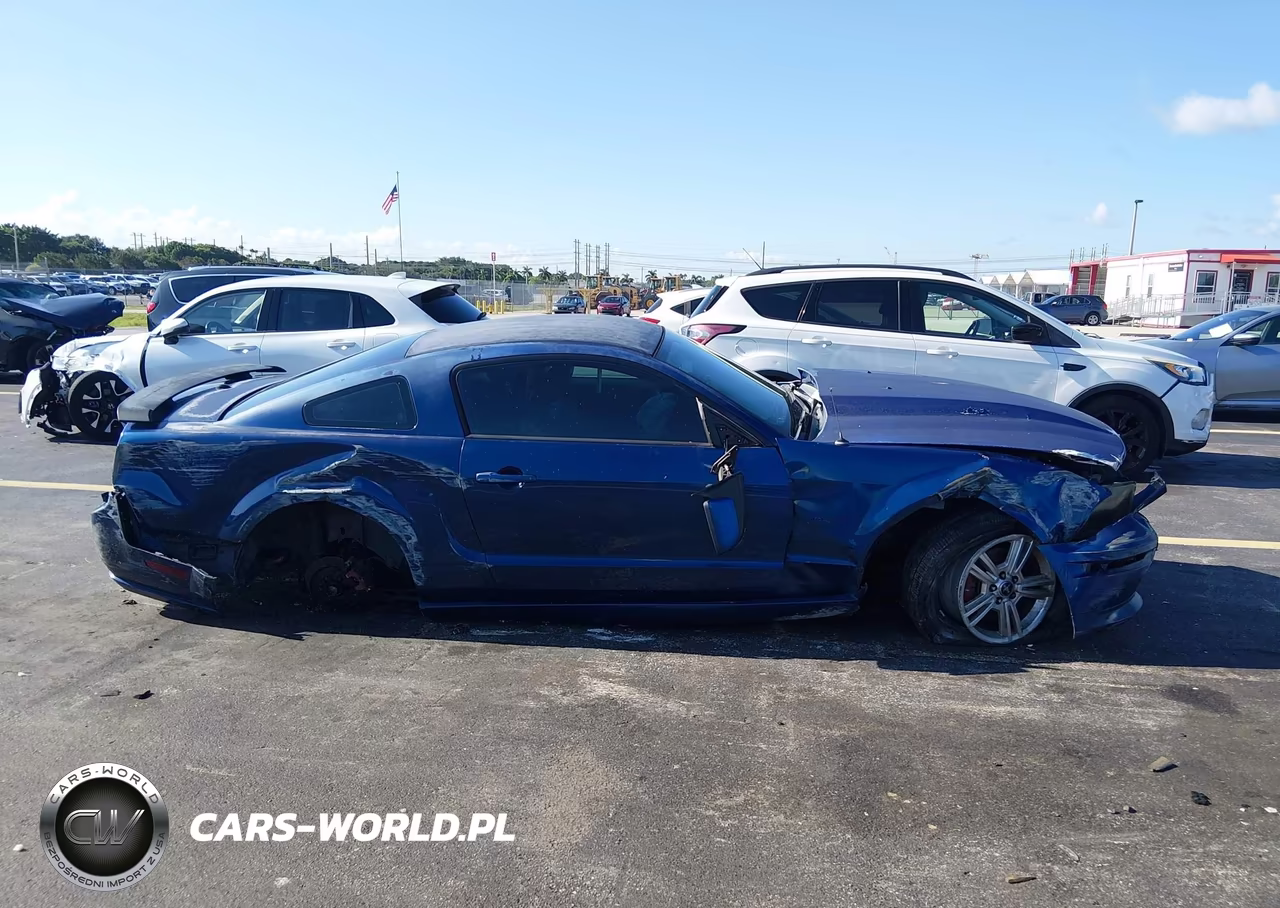 2008 Ford Mustang Gt Deluxe-Gt Premium VIN:1ZVHT82H885194221 - 13