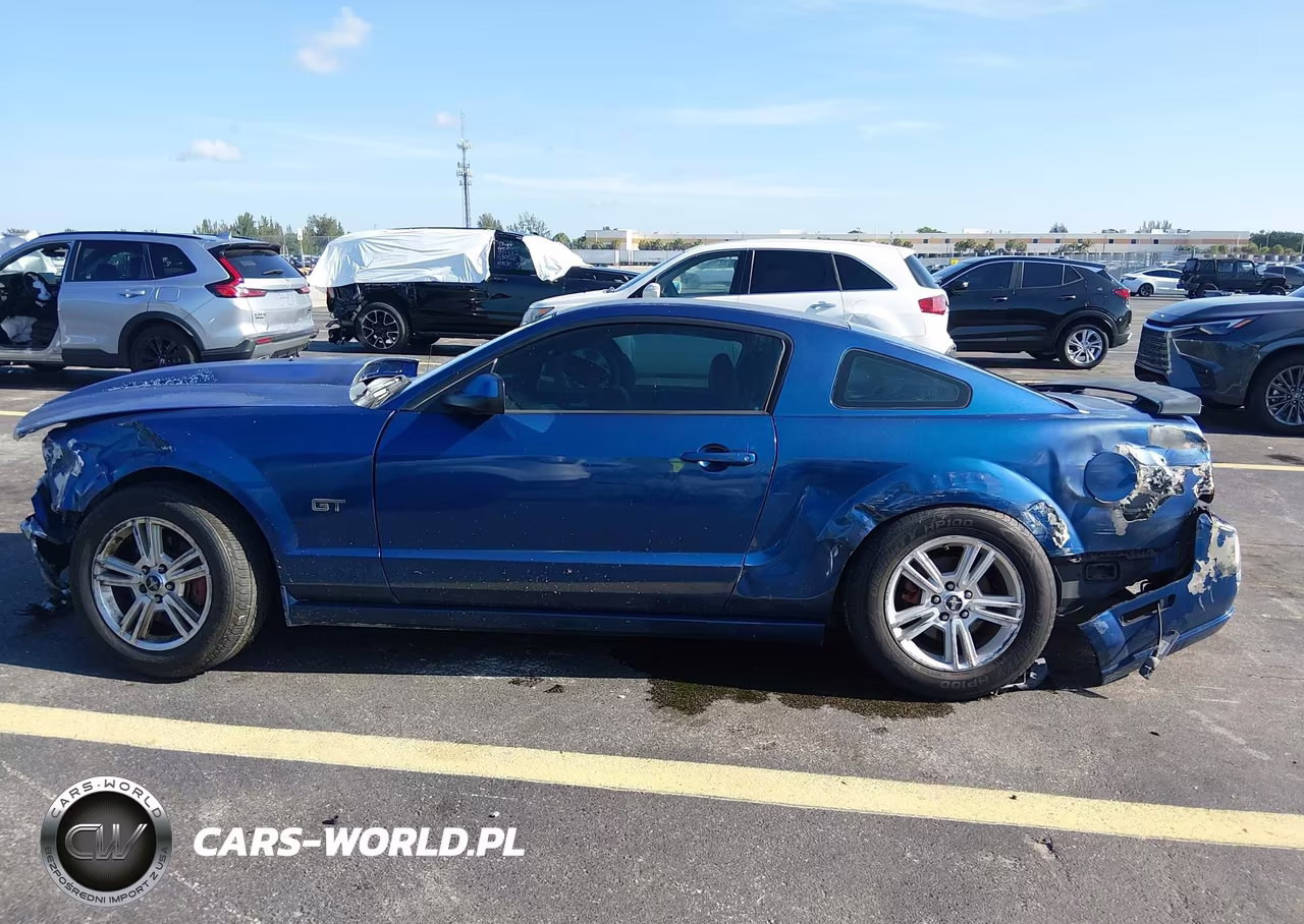 2008 Ford Mustang Gt Deluxe-Gt Premium VIN:1ZVHT82H885194221 - 14