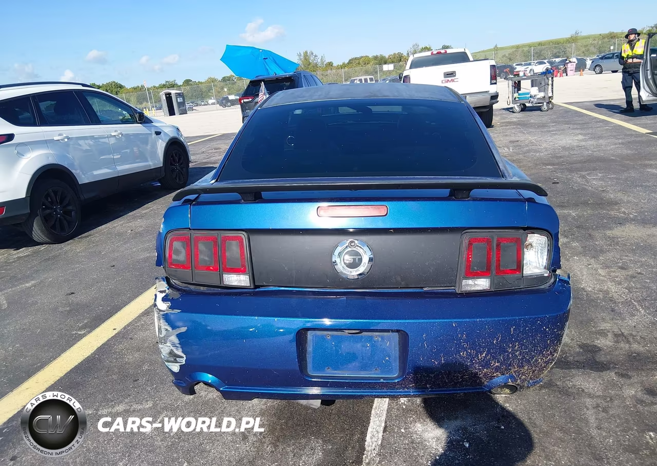 2008 Ford Mustang Gt Deluxe-Gt Premium VIN:1ZVHT82H885194221 - 16