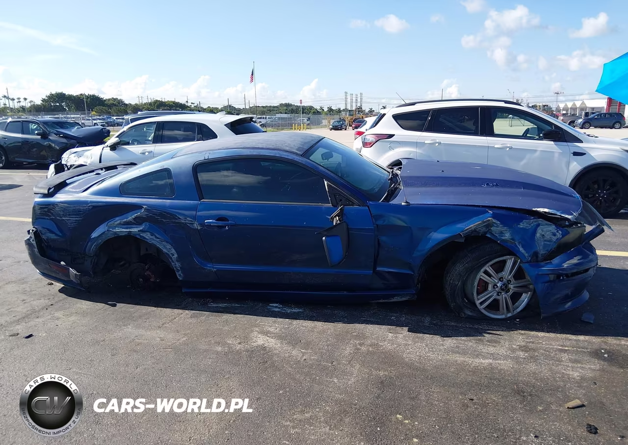 2008 Ford Mustang Gt Deluxe-Gt Premium VIN:1ZVHT82H885194221 - 6