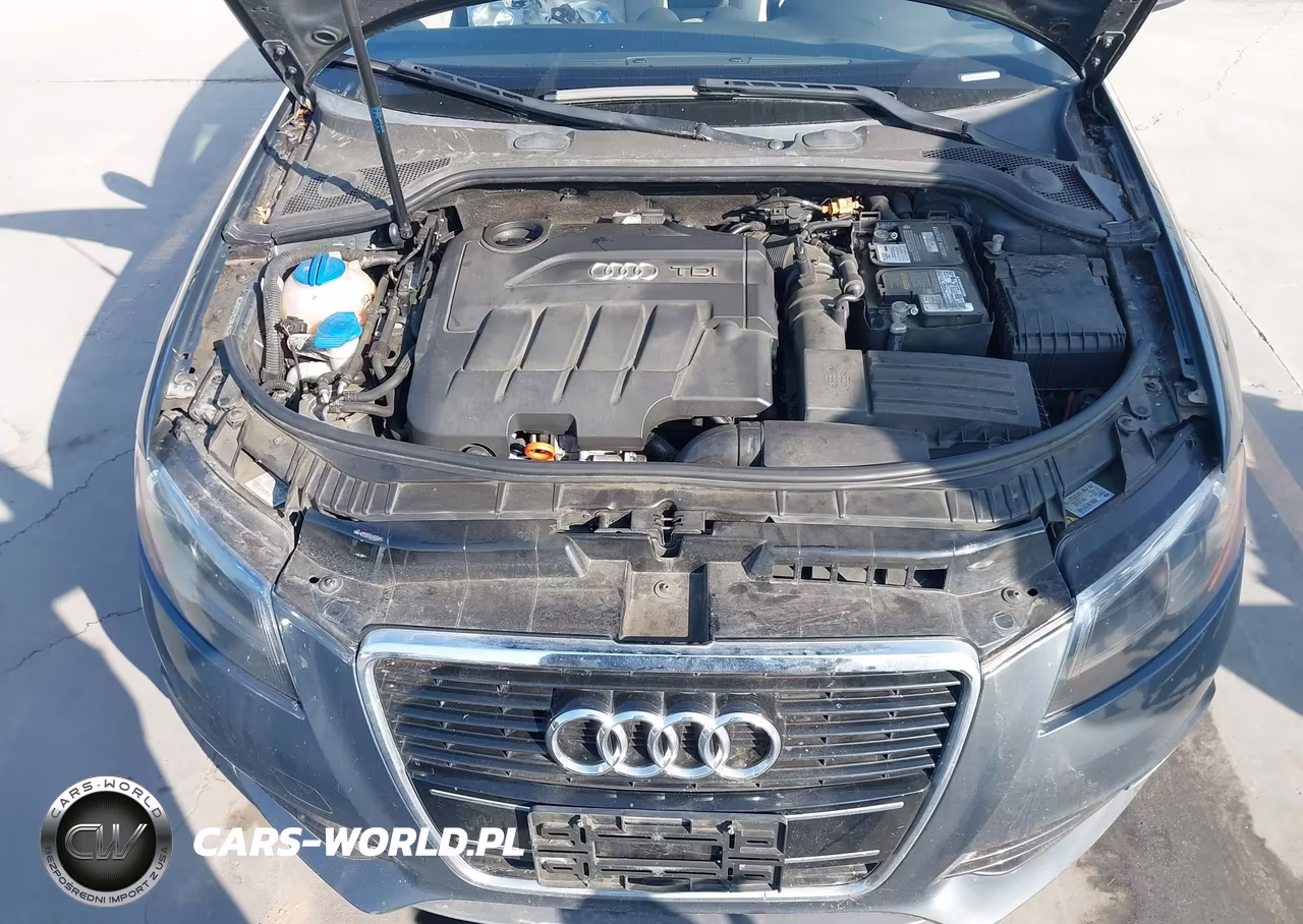 2012 Audi A3 2.0 Tdi Premium Plus VIN:WAUKJAFM0CA029967 - 10