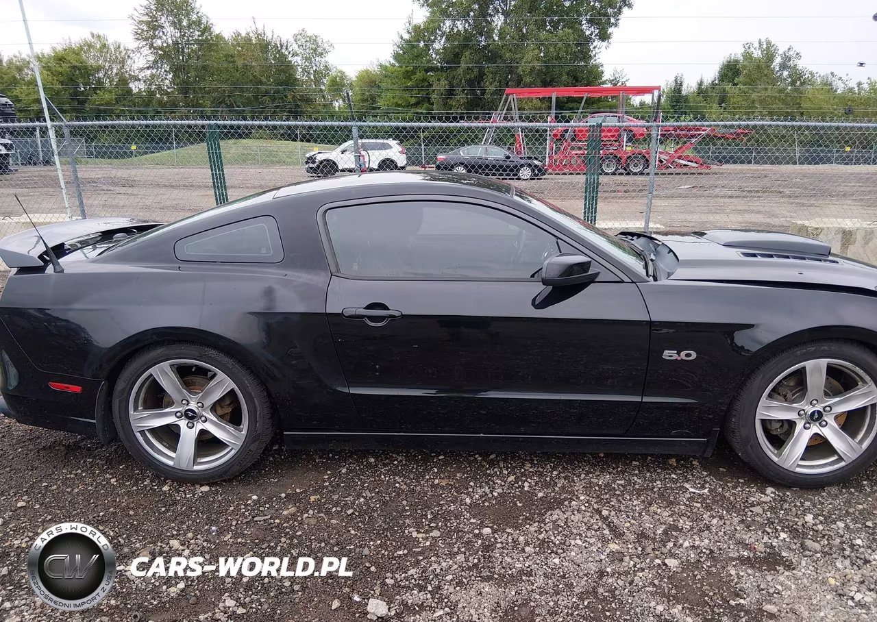 2014 Ford Mustang Gt Premium VIN:1ZVBP8CF2E5249636 - 14