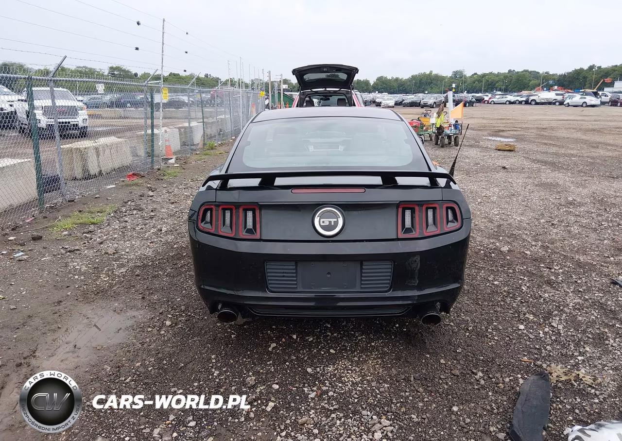 2014 Ford Mustang Gt Premium VIN:1ZVBP8CF2E5249636 - 17