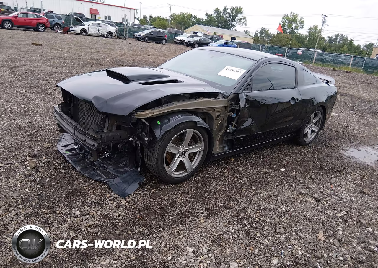 2014 Ford Mustang Gt Premium VIN:1ZVBP8CF2E5249636 - 2
