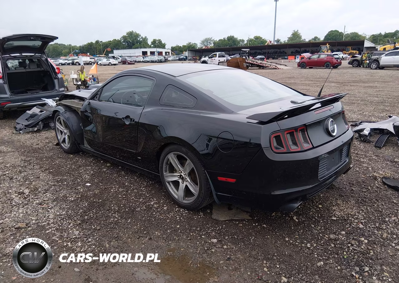 2014 Ford Mustang Gt Premium VIN:1ZVBP8CF2E5249636 - 3