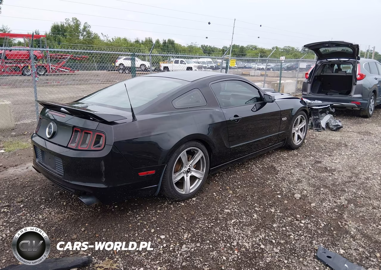 2014 Ford Mustang Gt Premium VIN:1ZVBP8CF2E5249636 - 4