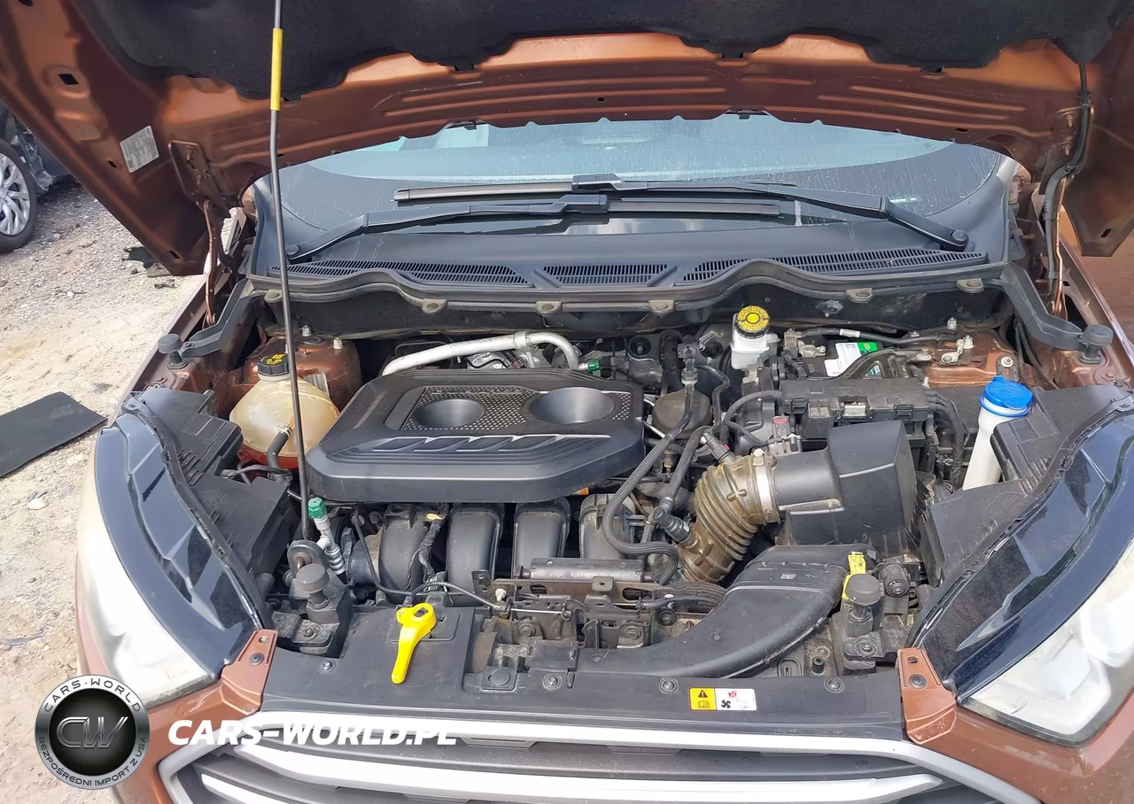 2019 Ford Ecosport Se VIN:MAJ6S3GL4KC257353 - 10