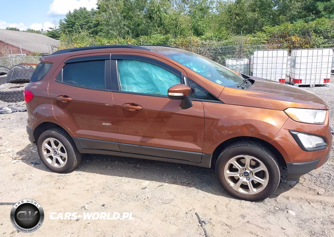 2019 Ford Ecosport Se VIN:MAJ6S3GL4KC257353 - 13