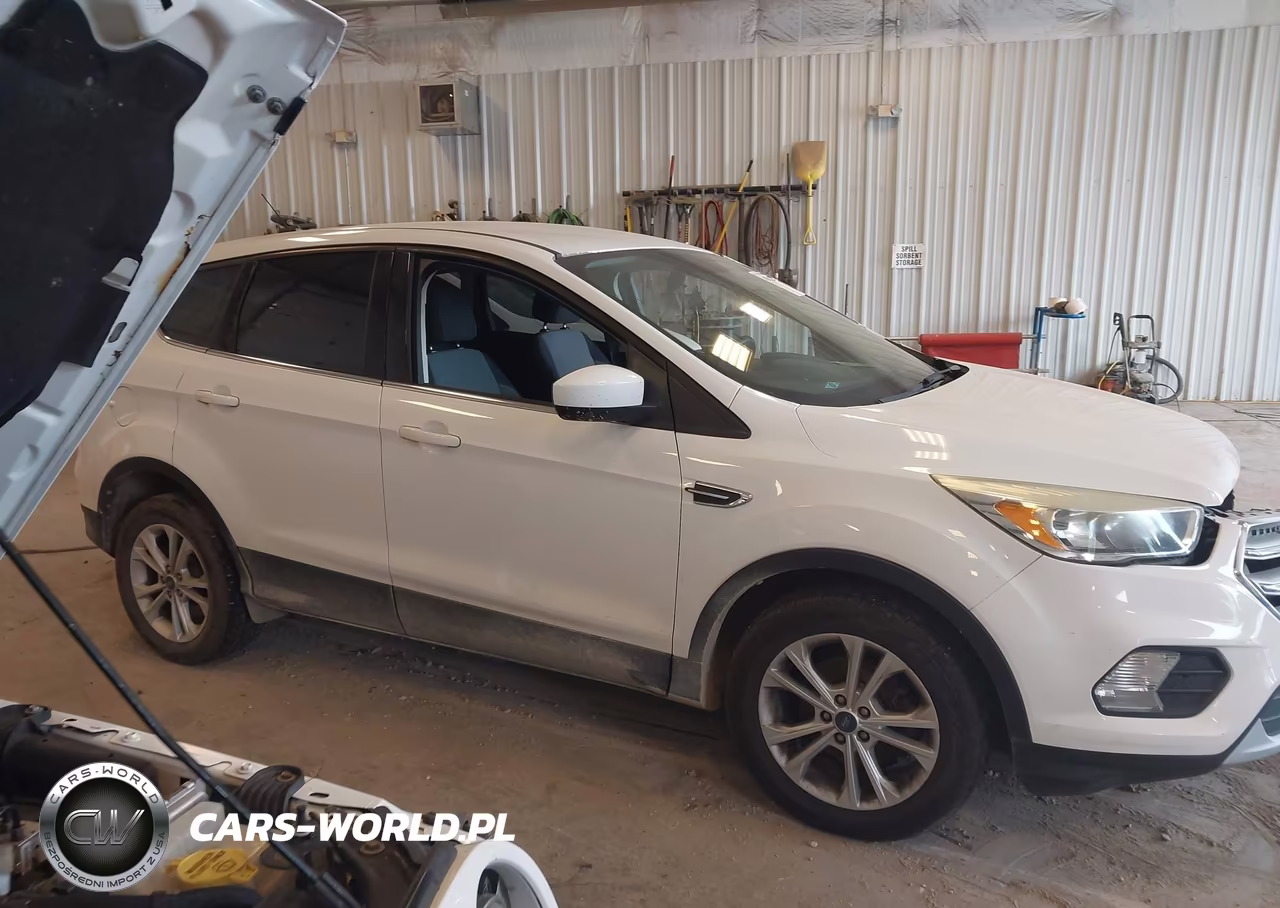 2017 Ford Escape Se VIN:1FMCU0GD5HUD18366 - 13