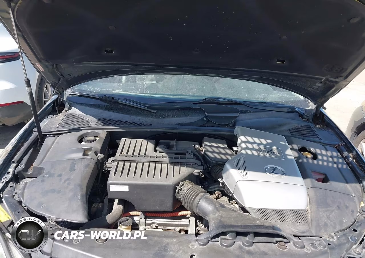 2006 Lexus Rx 400H VIN:JTJGW31U260002127 - 10
