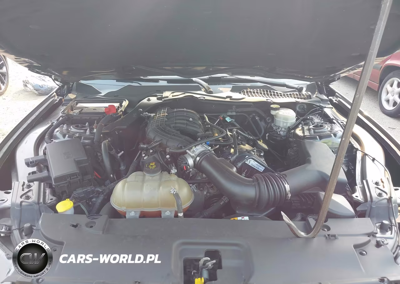 2016 Ford Mustang V6 VIN:1FA6P8AM9G5295186 - 10